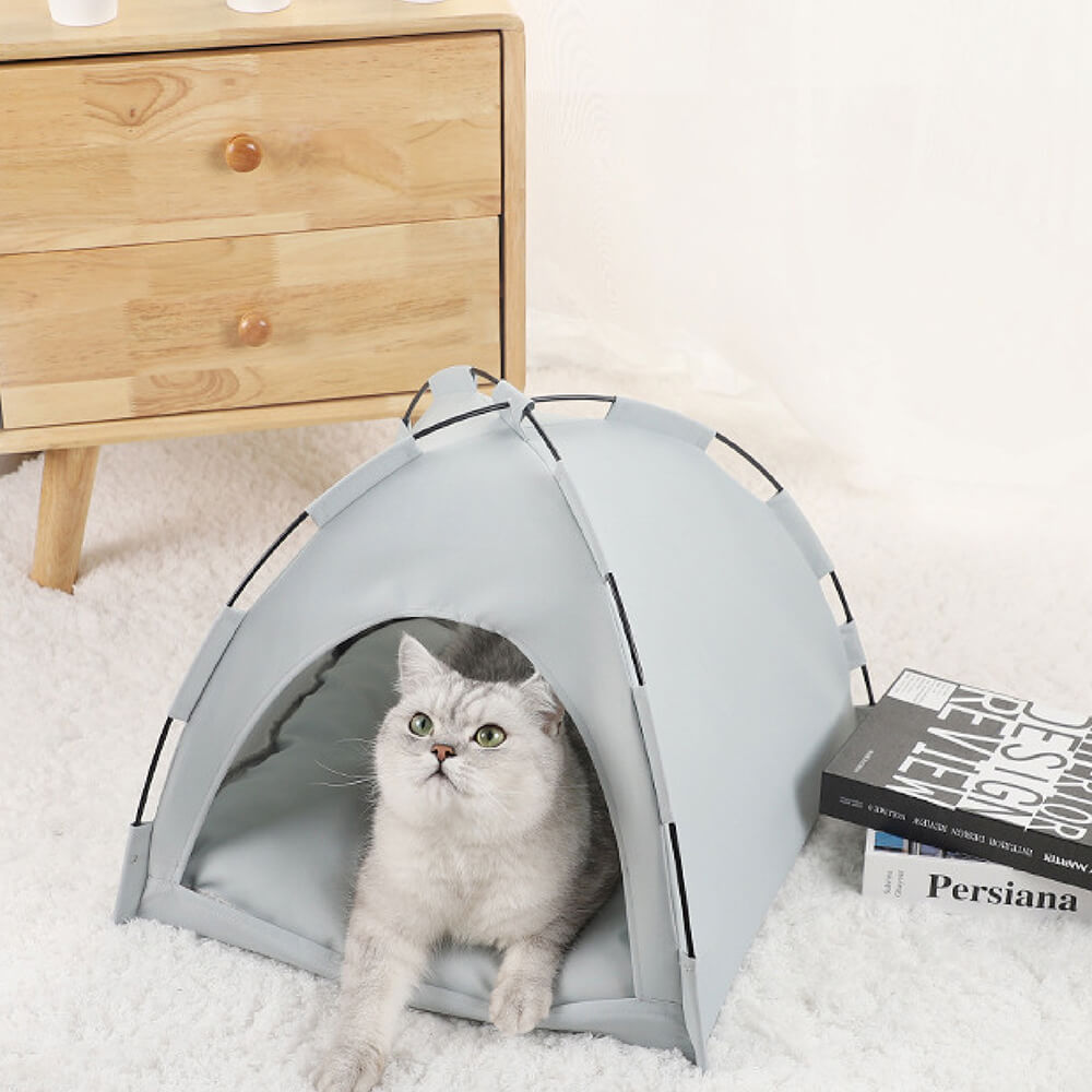 Lit de tente pliable pour chat de camping intérieur