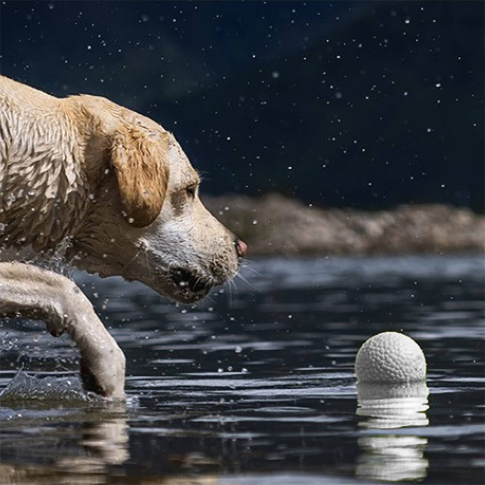 Juguete para perros con pelota de entrenamiento de palomitas de maíz