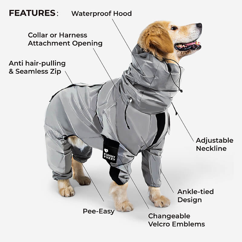 Manteau de pluie réfléchissant imperméable à l'eau pour tous les temps, accessoires pour chiens frais