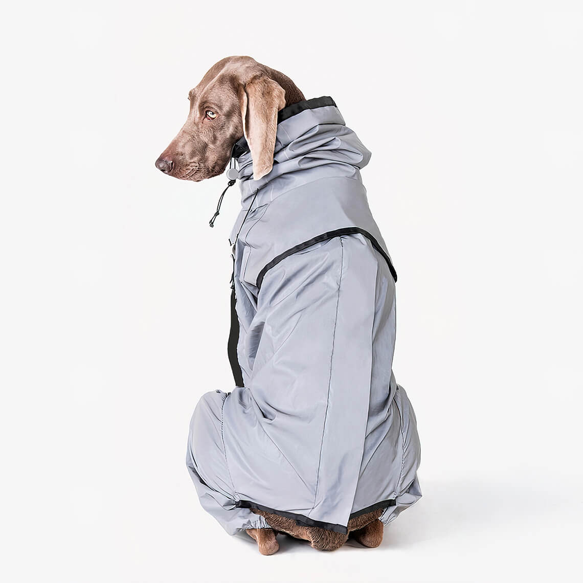 Manteau de pluie réfléchissant imperméable à l'eau pour tous les temps, accessoires pour chiens frais