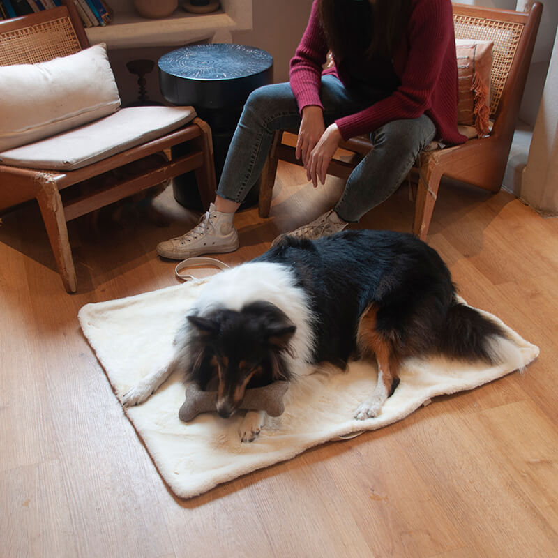 Tapis portatif pour chien