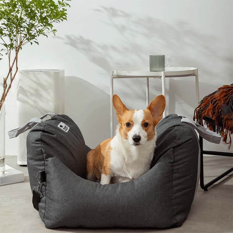 <tc><div>&nbsp;</div>
<div>
<div>
<div data-zone-id="0" data-line-index="0" data-line="true"><span>Cama para asiento de coche para perros, Asiento de automóvil para perros - Primera clase</span></div>
</div>
</div></tc>