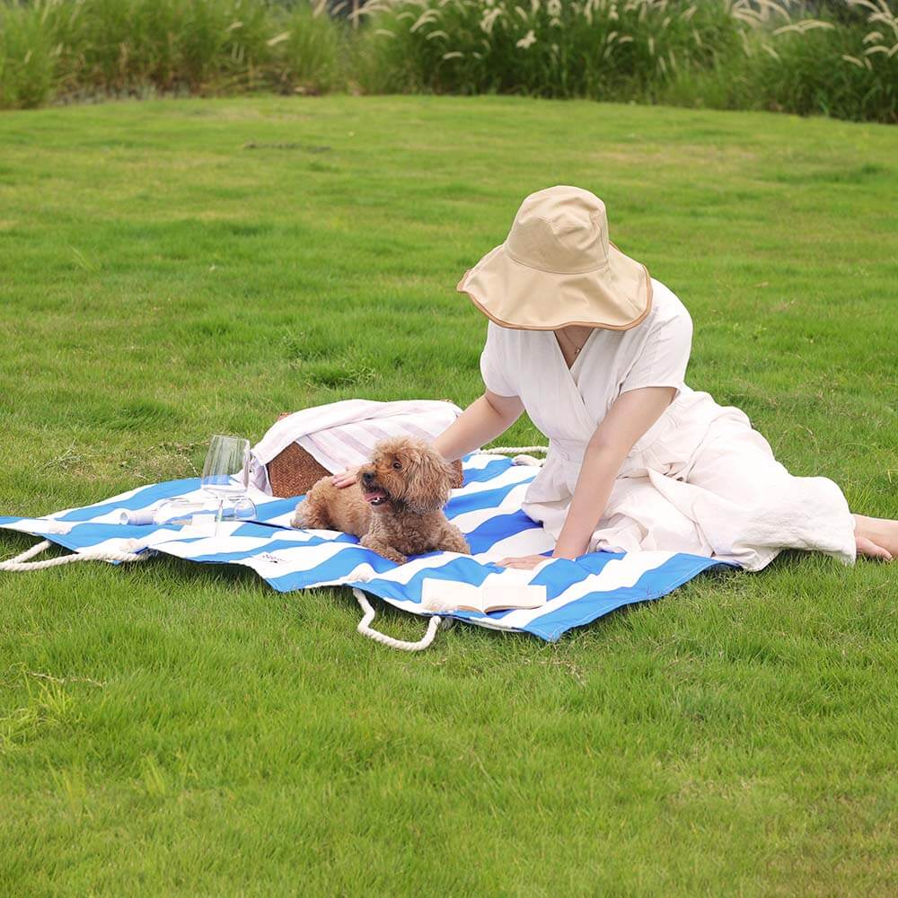 Autositzbezug für Hunde – Urlaub