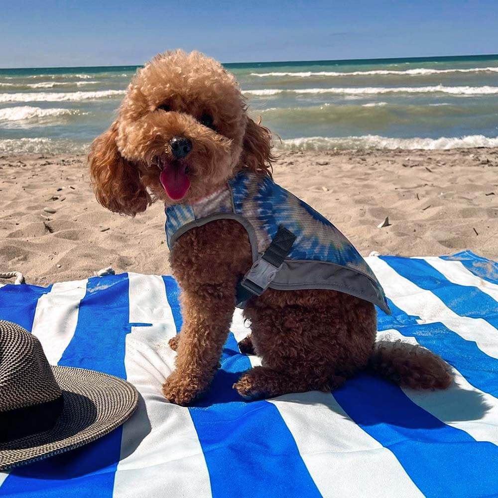 Housse de siège d’auto pour chien - Vacances