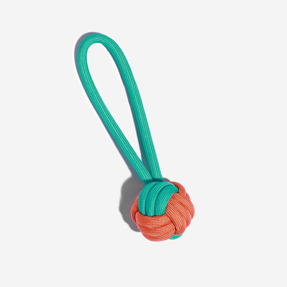 Knots Rope Tug Hundespielzeug – Color Clash