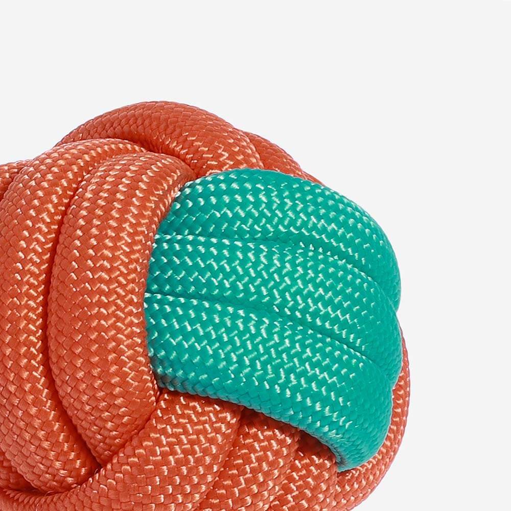 Juguete para perros Knots Rope Tug - <tc>Color</tc> Clash