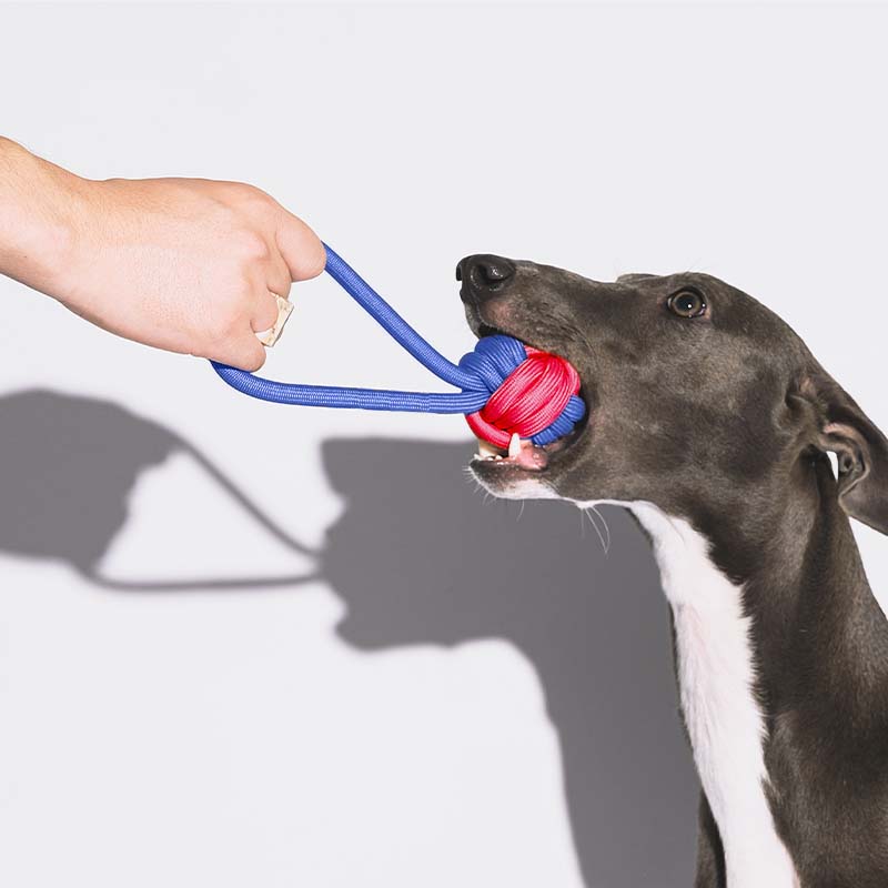 Jouet pour chien remorqueur en corde Knots - Color Clash