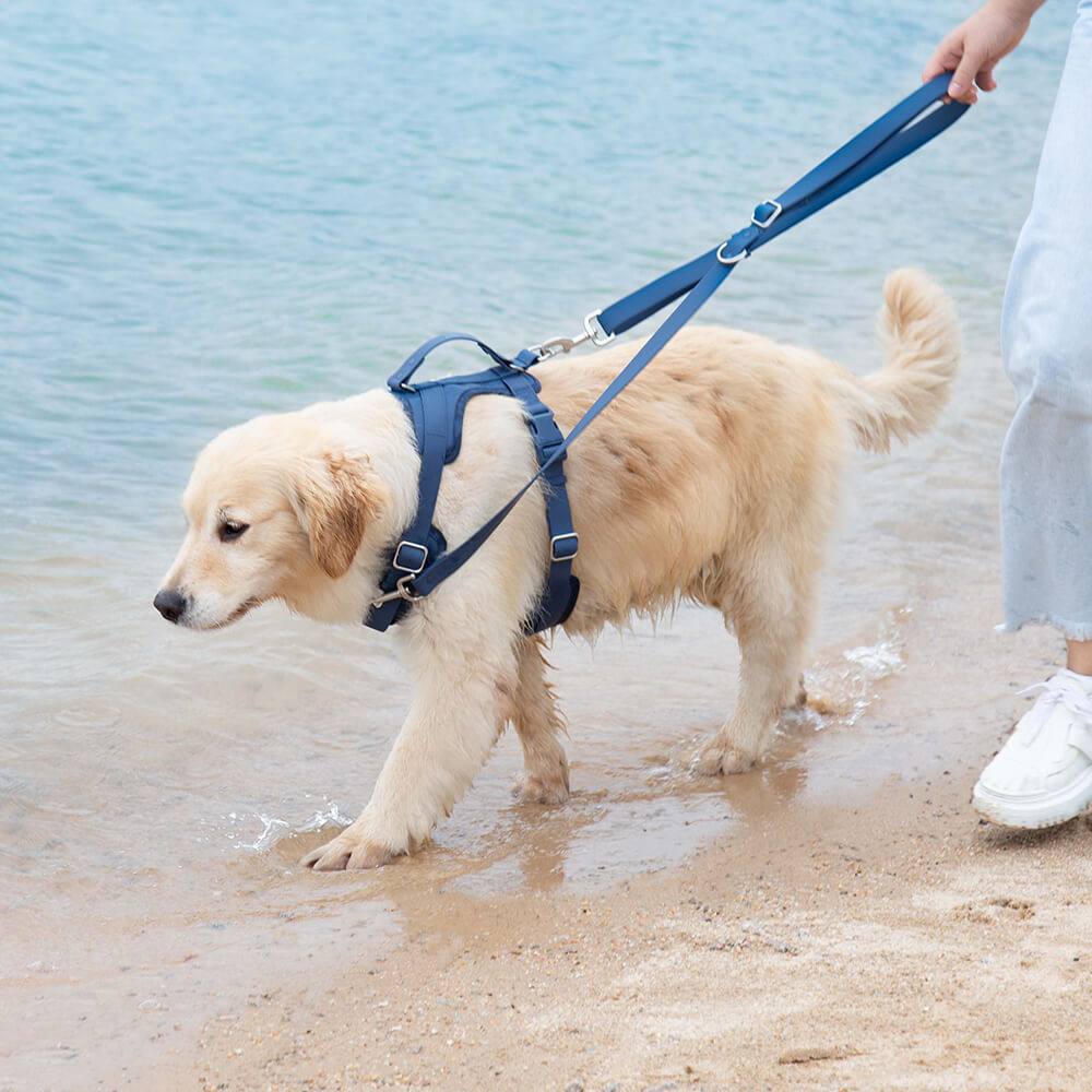 Arnés para perros gomosos