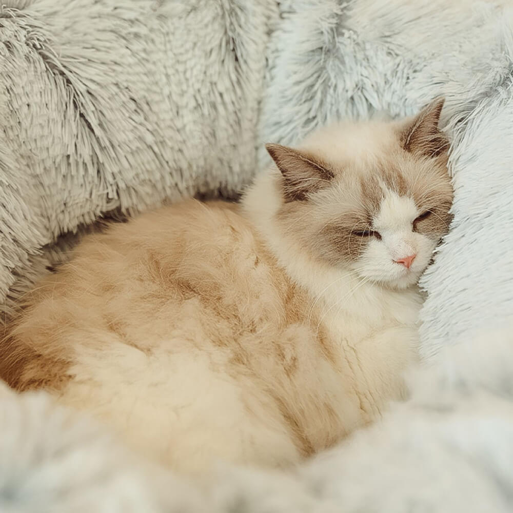 Cama túnel para gatos redonda, suave y plegable para interiores 2 en 1