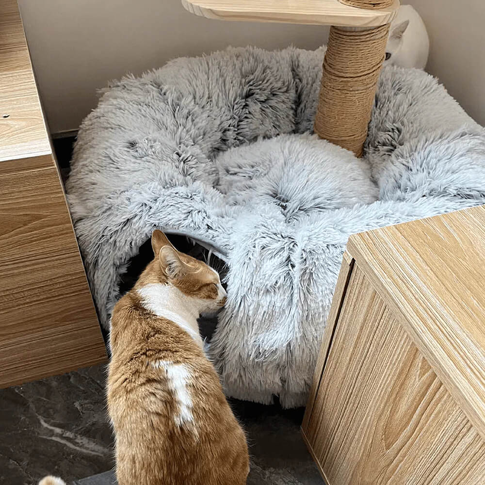 Lit tunnel pour chat rond et doux d'intérieur pliable 2 en 1