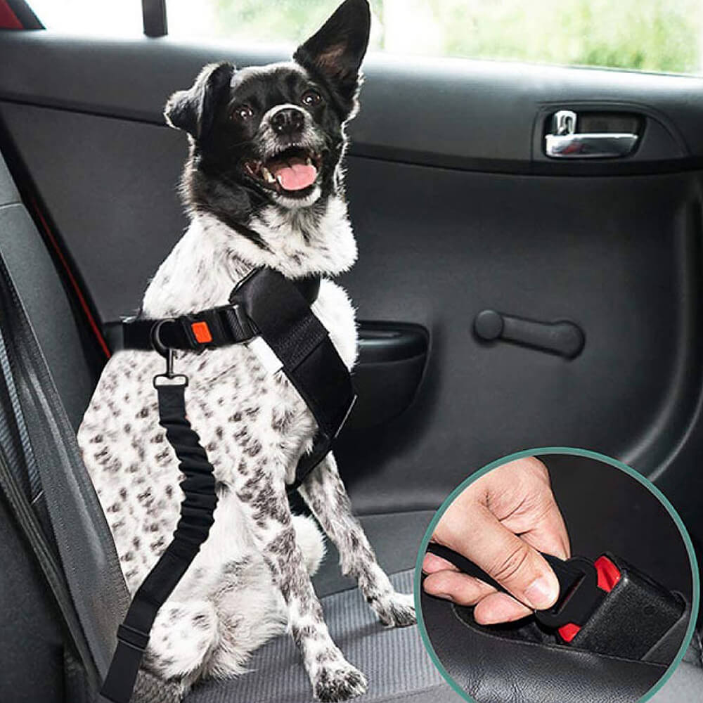 Ceinture de sécurité de voiture d'accessoires de chien frais réglables de tampon