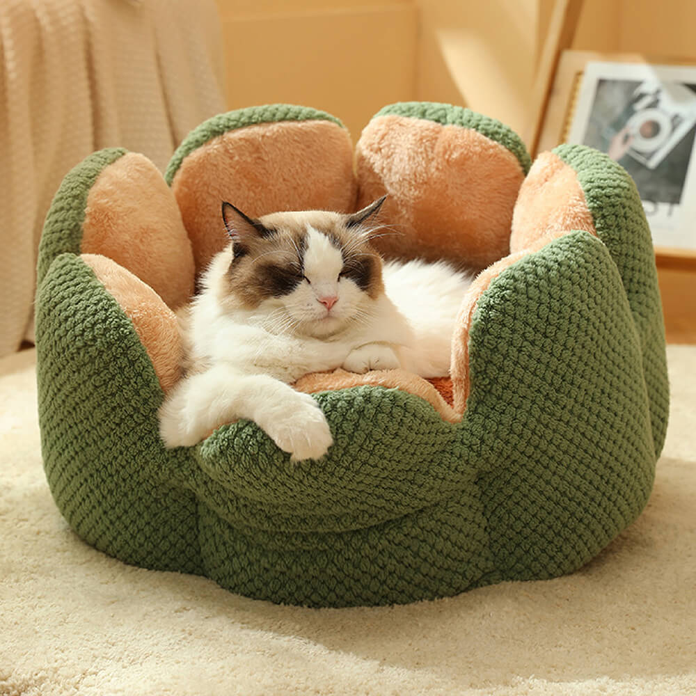 <tc>Cama cómoda para mascotas con forma de cactus</tc>