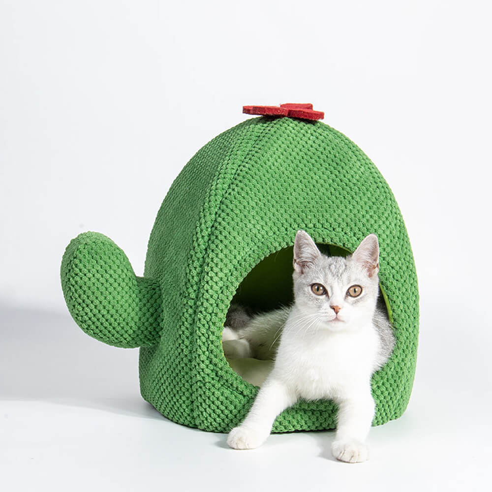 Cama para gatos cálida con forma de cactus