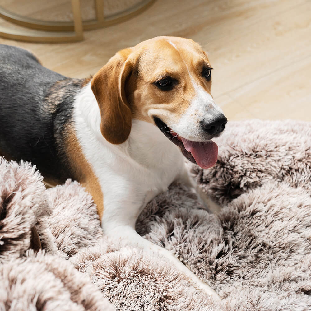 Large Round Dog Bed - Fuzzy Paw