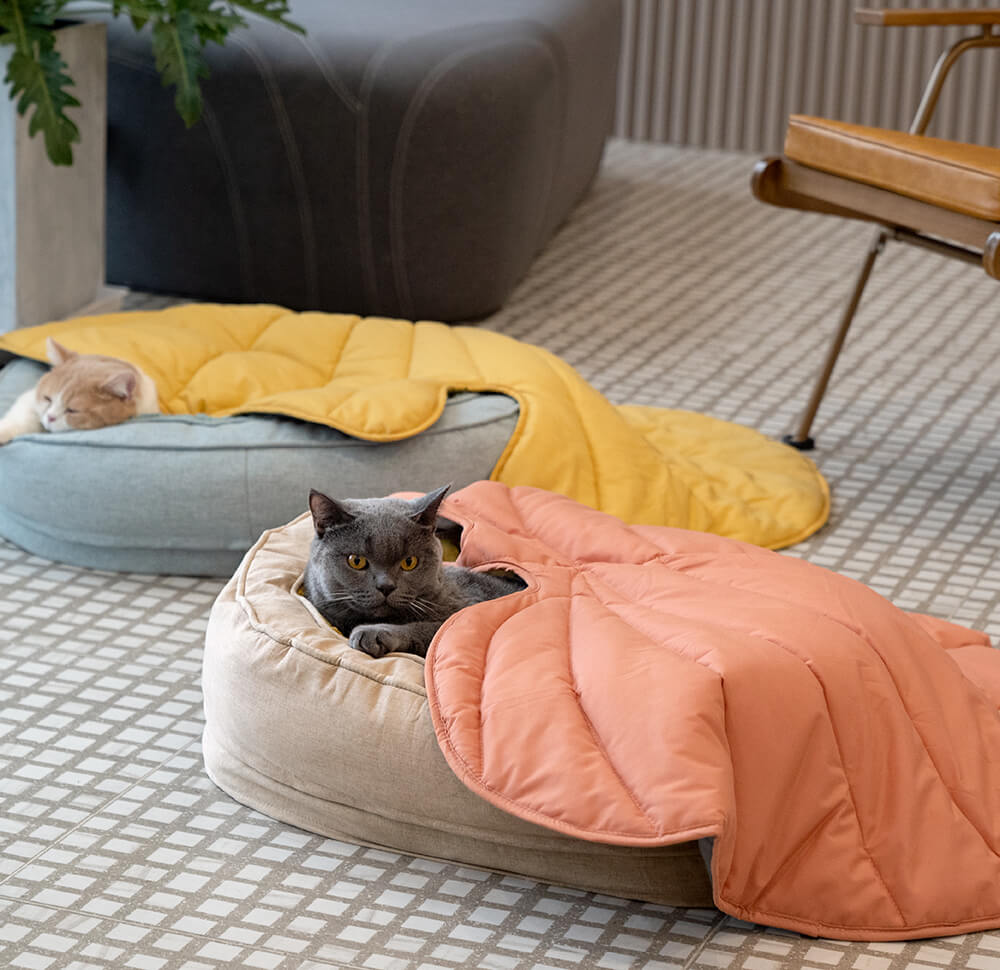 Manta para perros con forma de hoja y cama para perros con forma de donut, regalos de lujo para perros