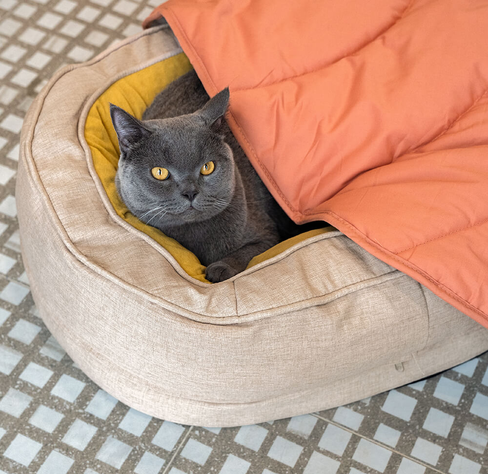 Cama ortopédica para perros Donut Fluffy