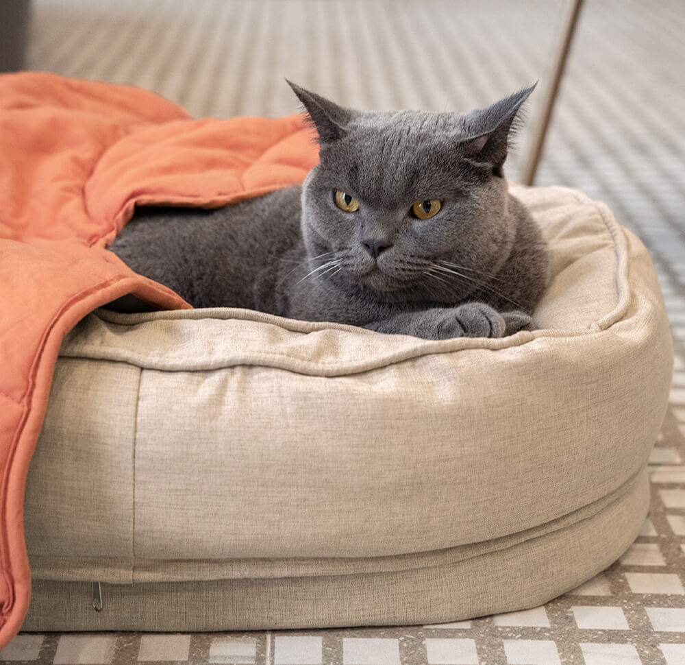 Blattförmige Hundedecke mit Donut-Hundebett, luxuriöse Hundegeschenke