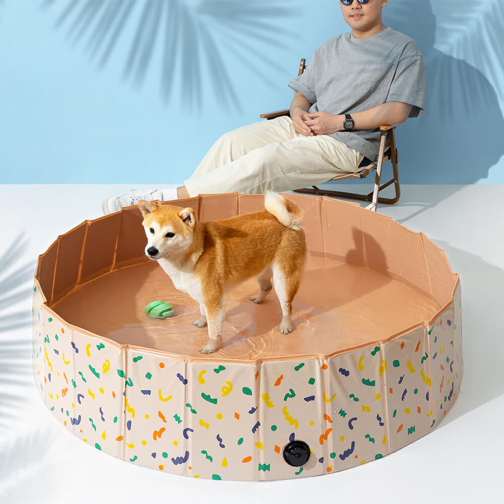 Piscine extérieure pliable et portative pour chiens