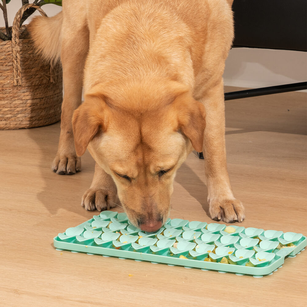 Tapis à ventouse en Silicone pour semis, jouet pour chien, reniflant, gamelle pour ingestion lente