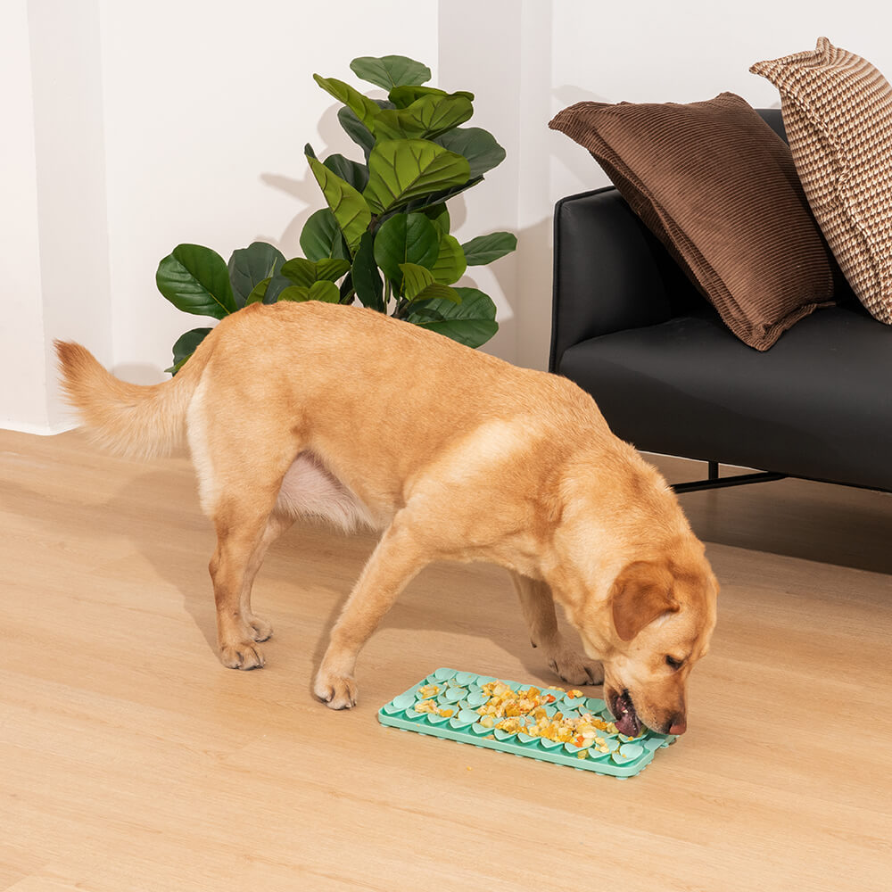 Tapis à ventouse en Silicone pour semis, jouet pour chien, reniflant, gamelle pour ingestion lente