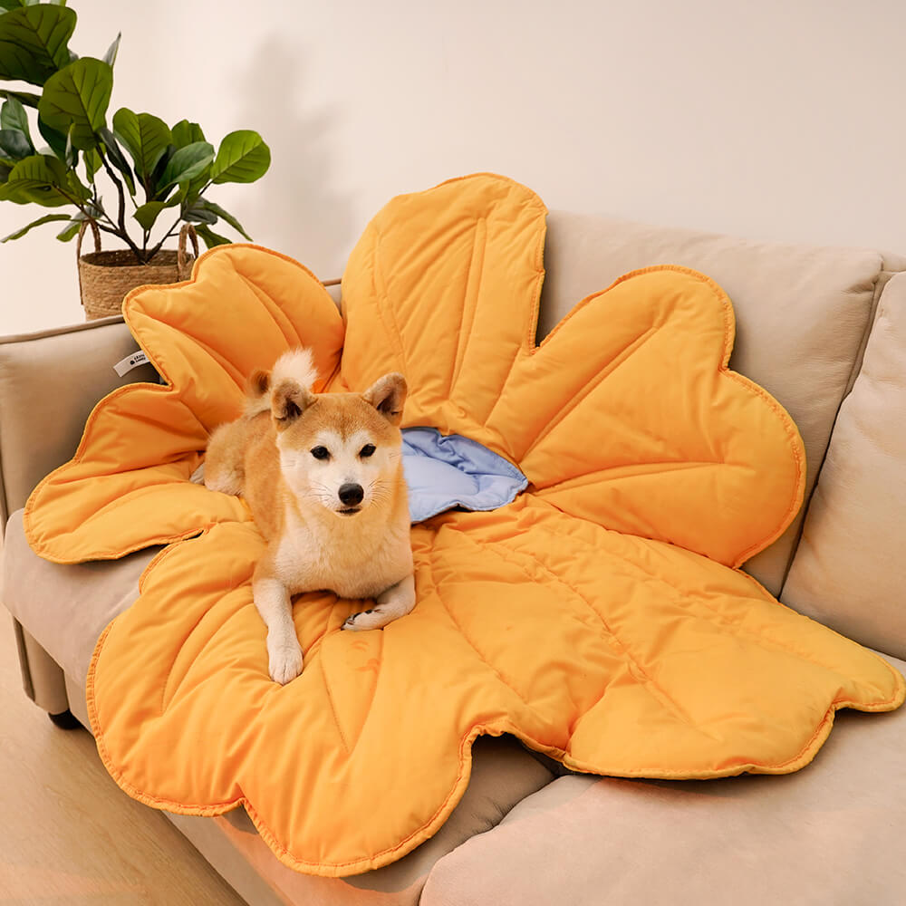 Couverture de chien de tapis humain de forme de fleur très grande