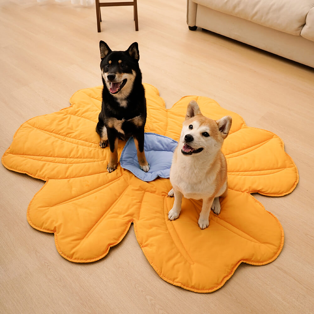 Couverture de chien de tapis humain de forme de fleur très grande