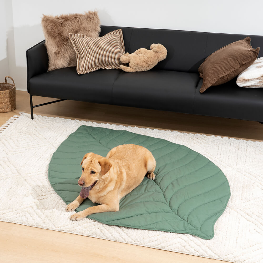 Couverture pour chien en forme de très grande feuille, tapis humain