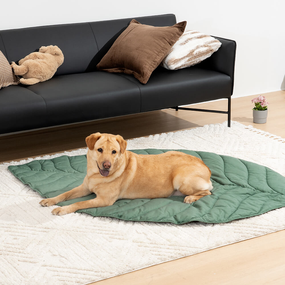 Couverture pour chien en forme de très grande feuille, tapis humain