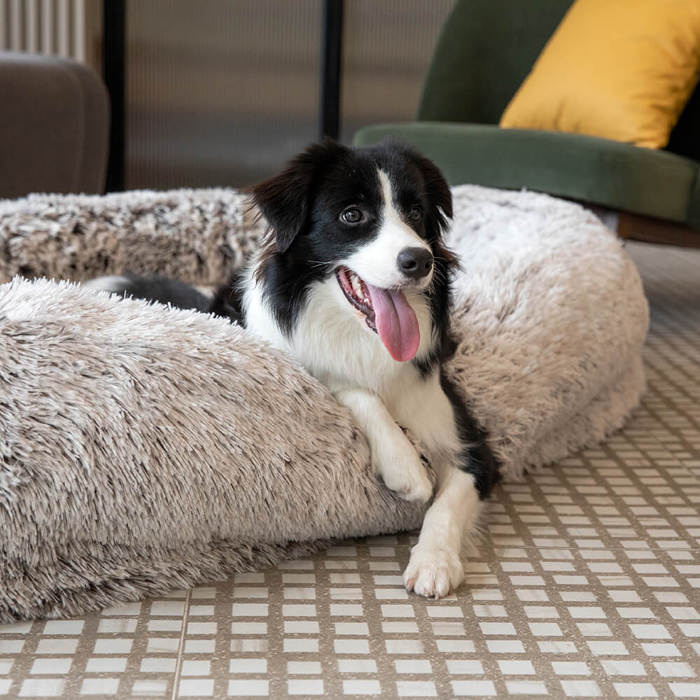 Cama ovalada más profunda de lujo para dormir, cama para perros humanos