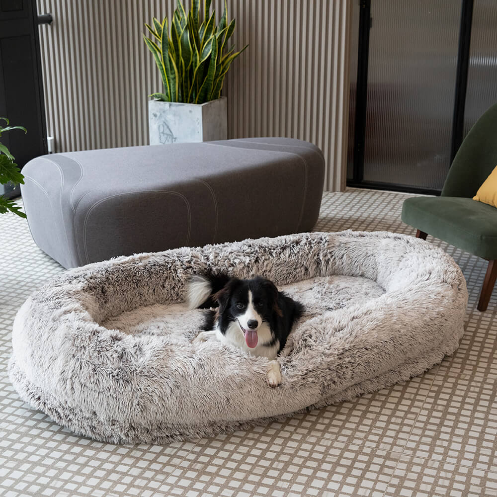 Cama para perros humanos súper grande de lujo con manta para mascotas súper suave