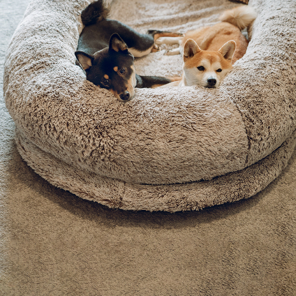 Cama ovalada más profunda de lujo para dormir, cama para perros humanos