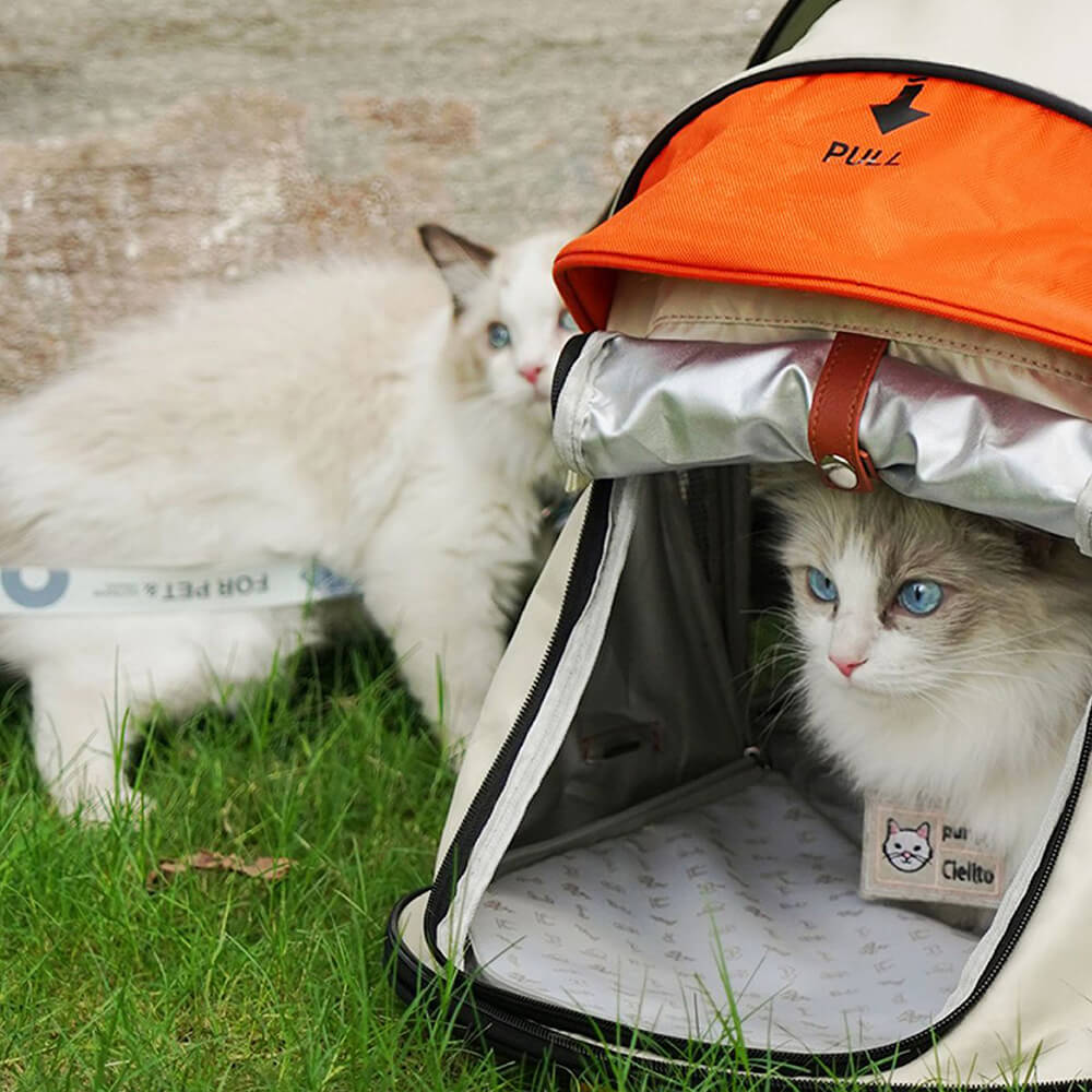 Mochila para gatos Transformers Pro Travel Camping Tent