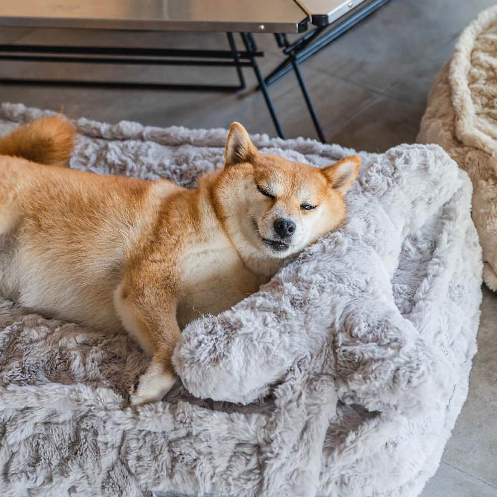 Wärmendes, flauschiges, beruhigendes Hundebett in Knochenwolkenform