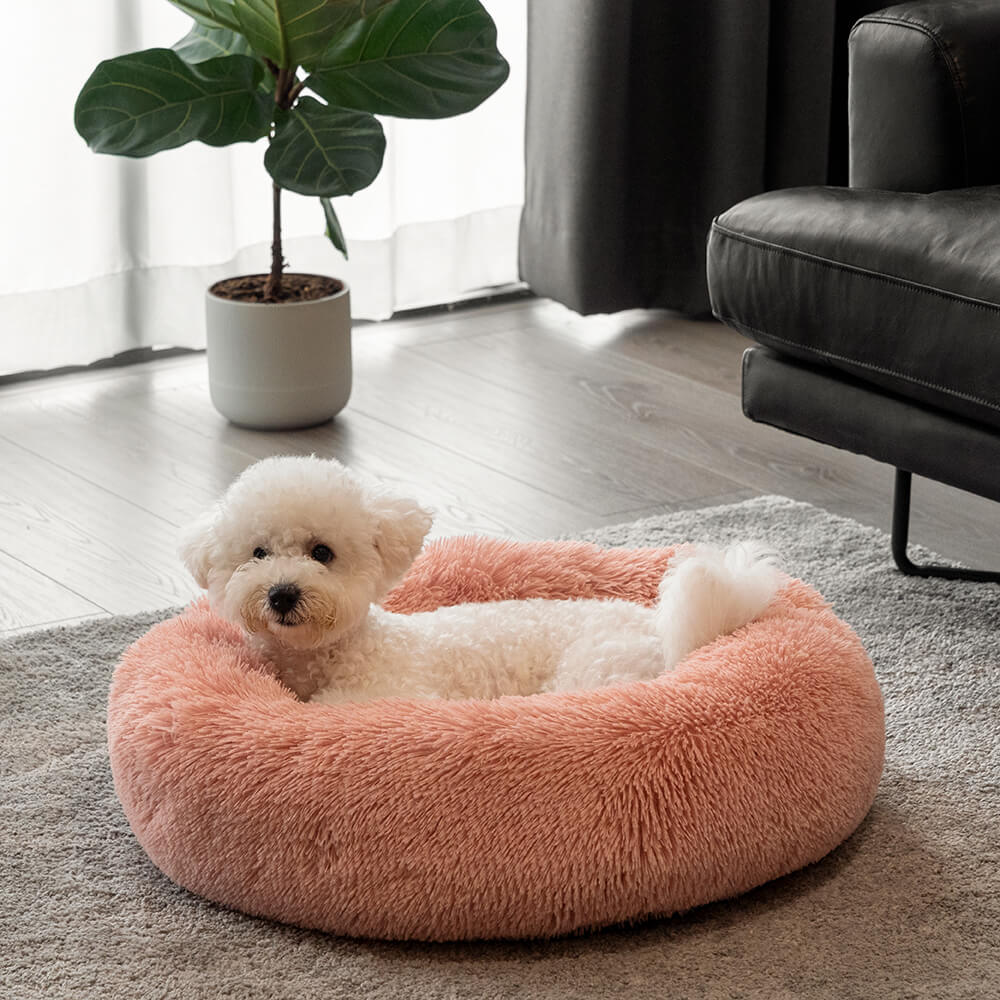 Lit rond et moelleux pour chien