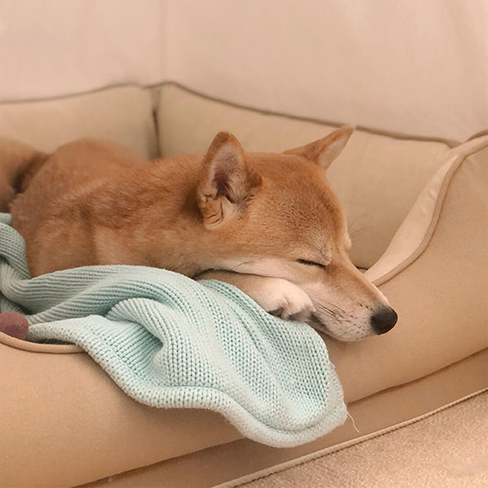 Cama para perros - Pan cuadrado