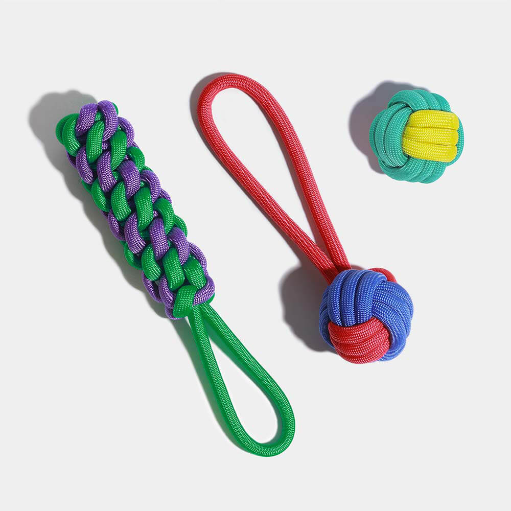 Knots Rope Dog Toy Set - Color Clash