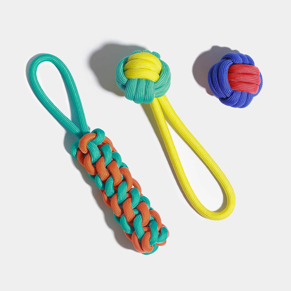 Ensemble de jouets pour chien en corde à nœuds - Color Clash