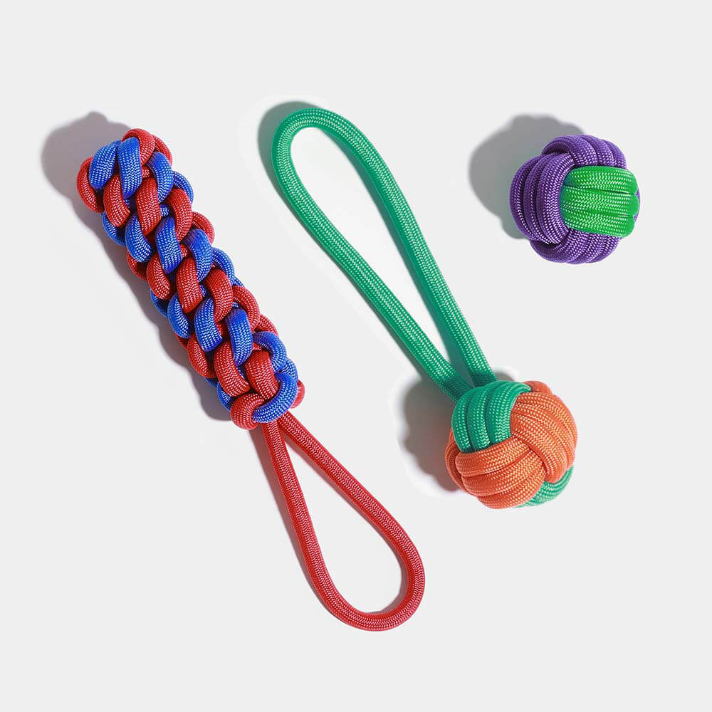 Ensemble de jouets pour chien en corde à nœuds - Color Clash