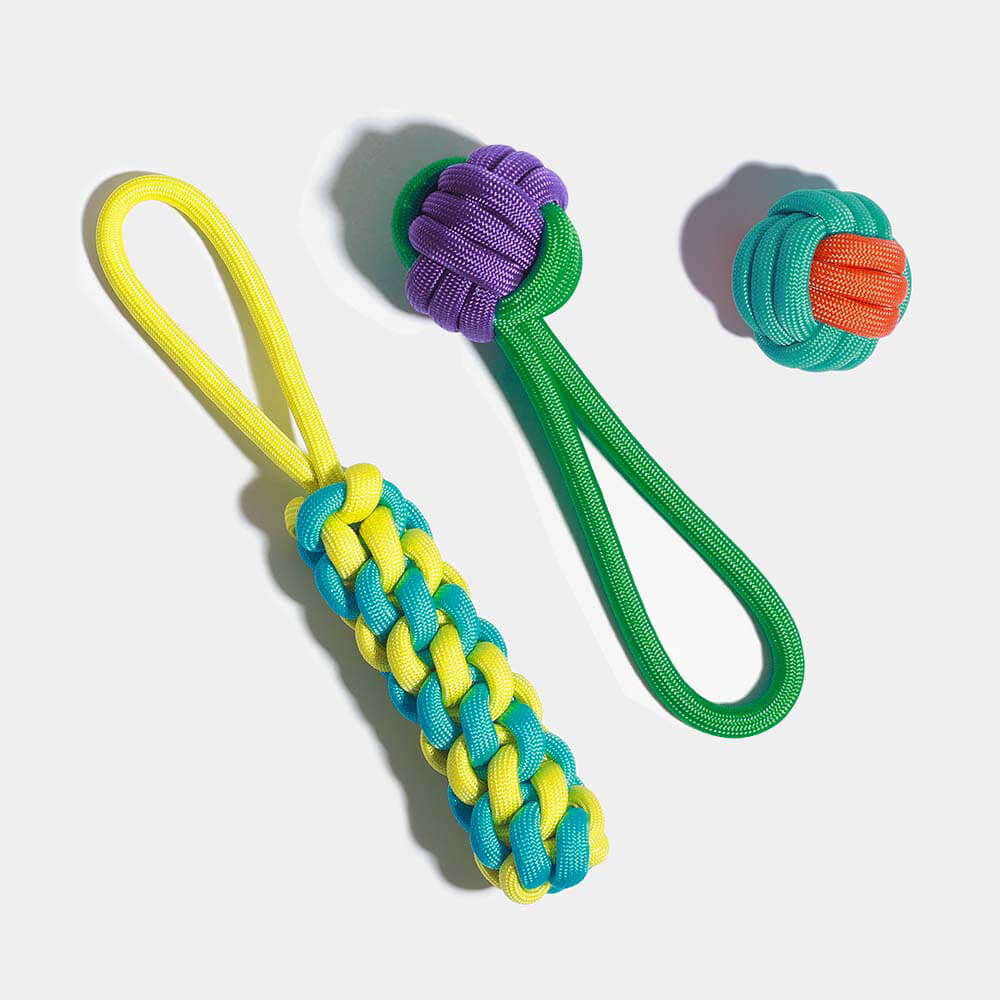 Knots Rope Hundespielzeug-Set – Color Clash