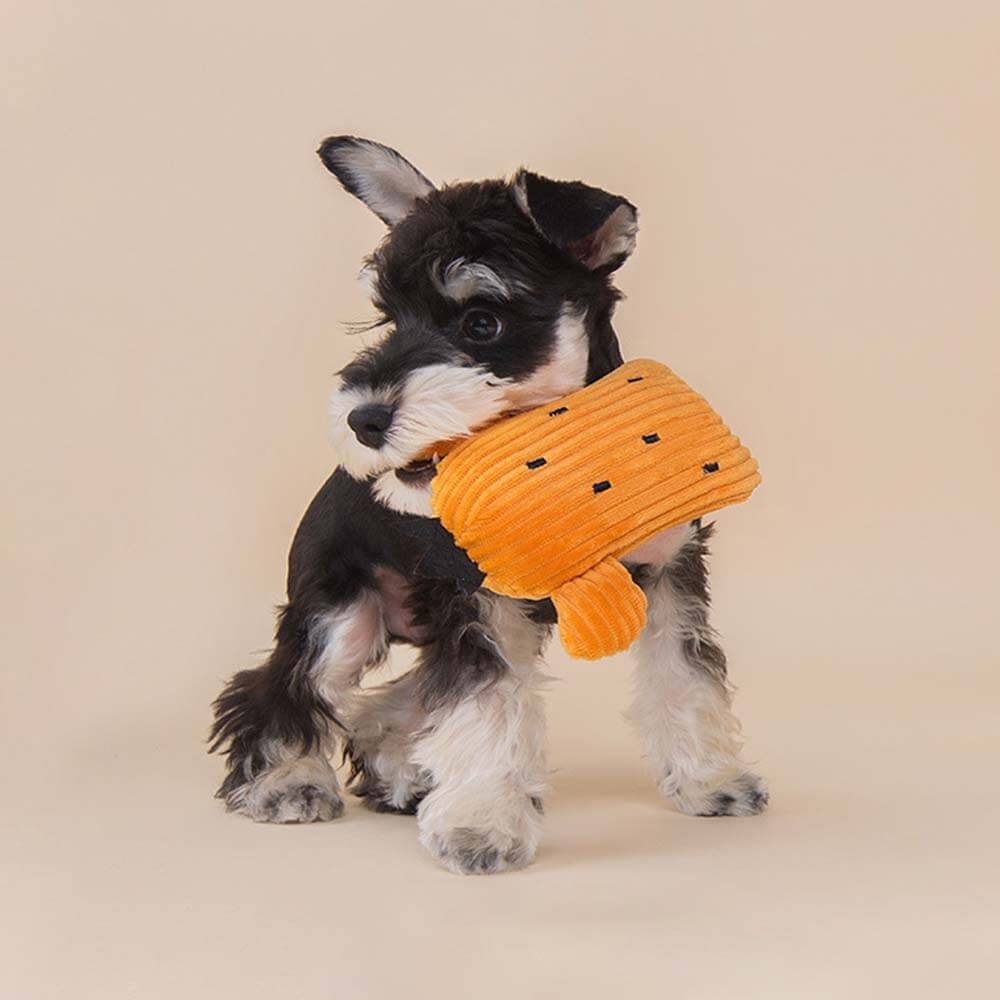 Ensemble de jouets en peluche pour chien qui couine - Cactus