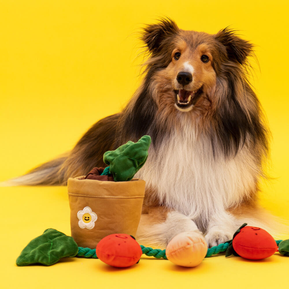 Jouet en peluche grinçant pour chien - Fraise en pot