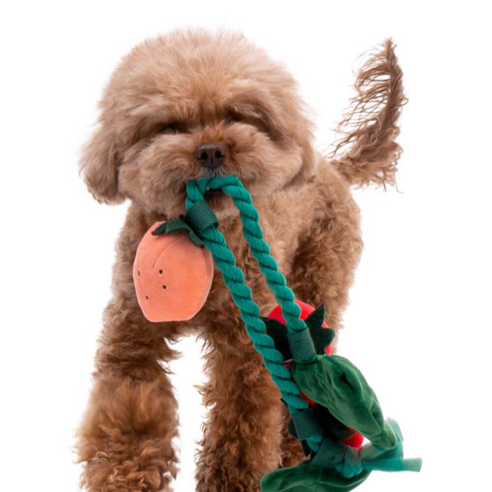 Jouet en peluche grinçant pour chien - Fraise en pot