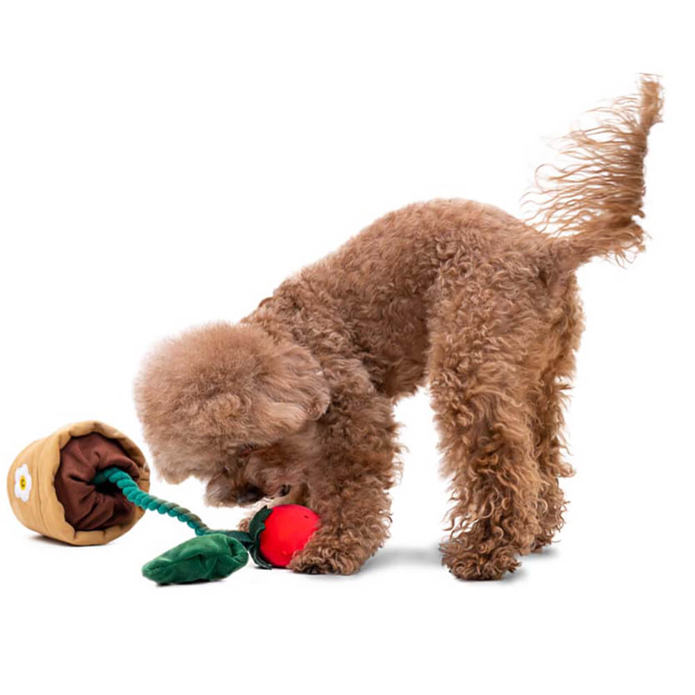 Jouet en peluche grinçant pour chien - Fraise en pot