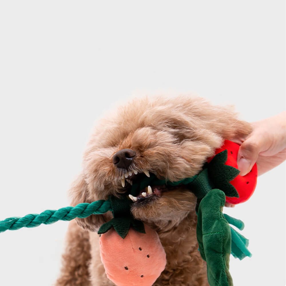 Jouet en peluche grinçant pour chien - Fraise en pot