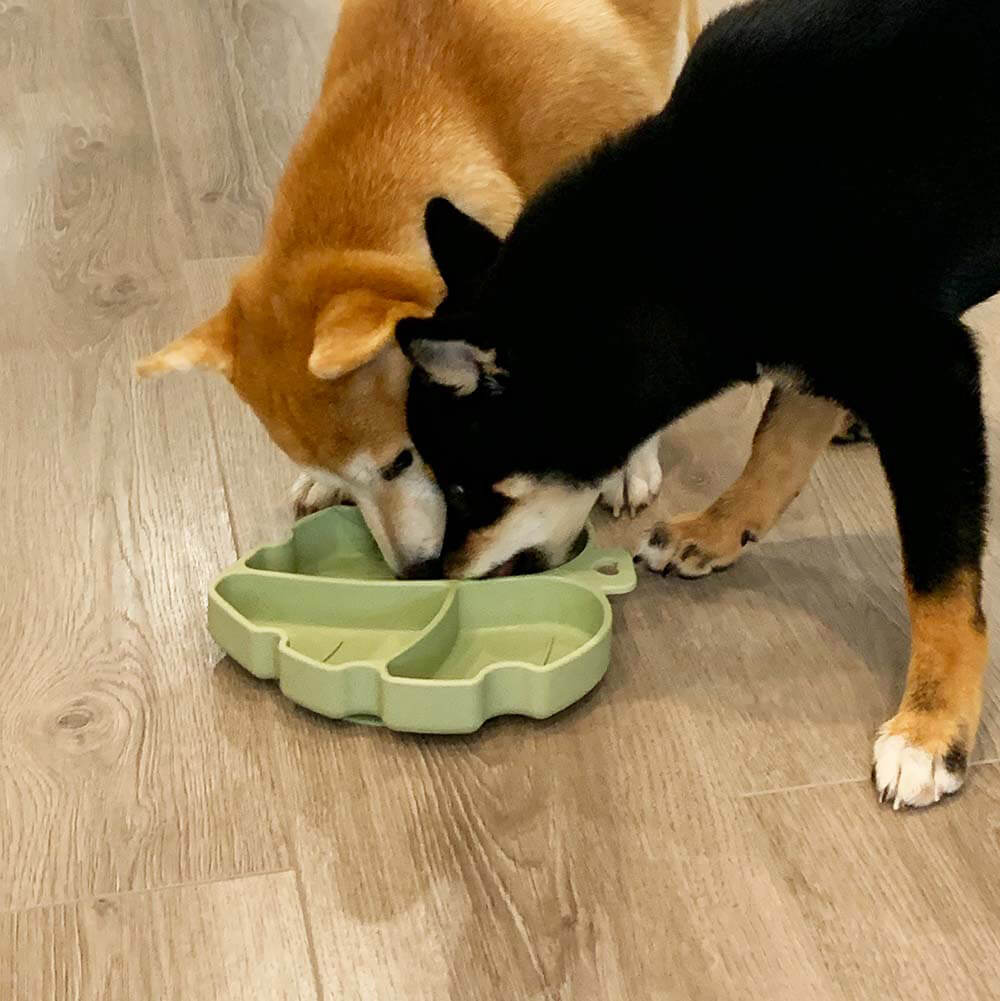 Gamelle à Ventouse pour Animaux de Compagnie - Feuille