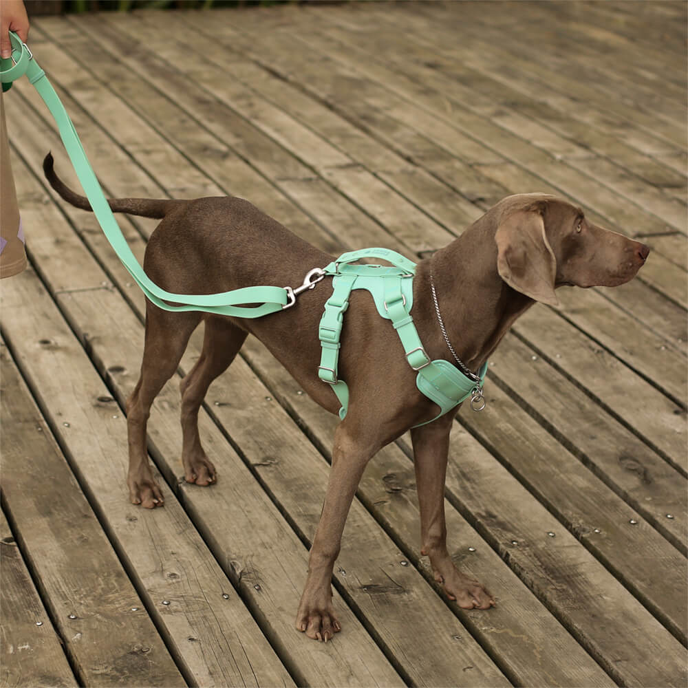 Juego de paseo con accesorios para perros Gummy Cool