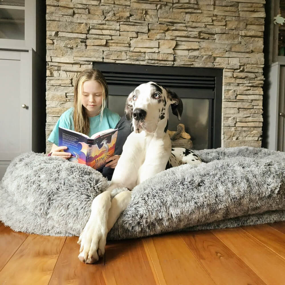 Cama ovalada más profunda de lujo para dormir, cama para perros humanos