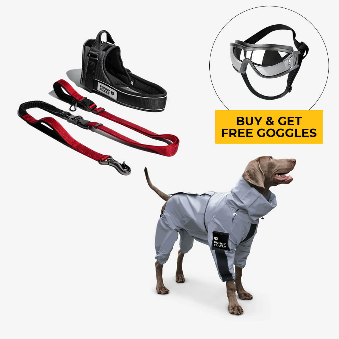 Juego de paseo con accesorios para perros Swag & Safe Cool