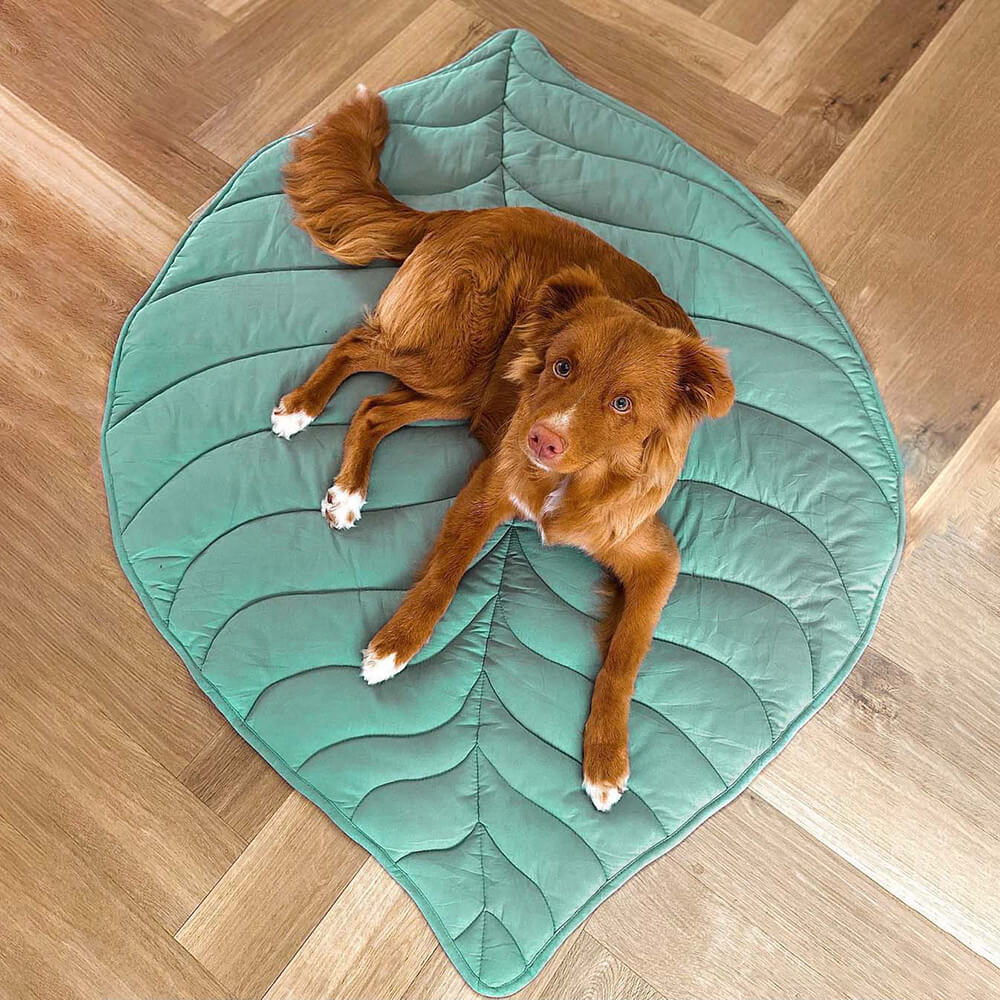 Couverture pour chien en forme de feuille